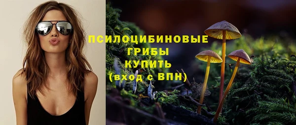 прущие крисы Алзамай