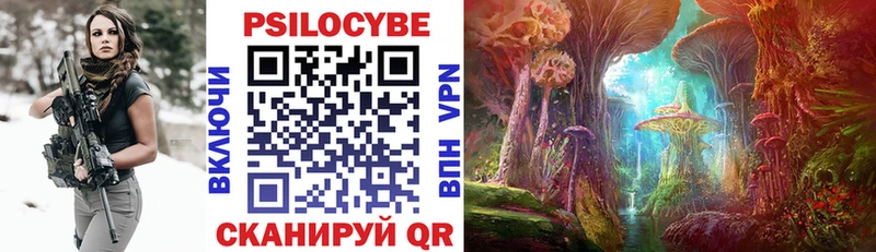 наркошоп  ссылка на мегу   Псилоцибиновые грибы Cubensis  Дюртюли 