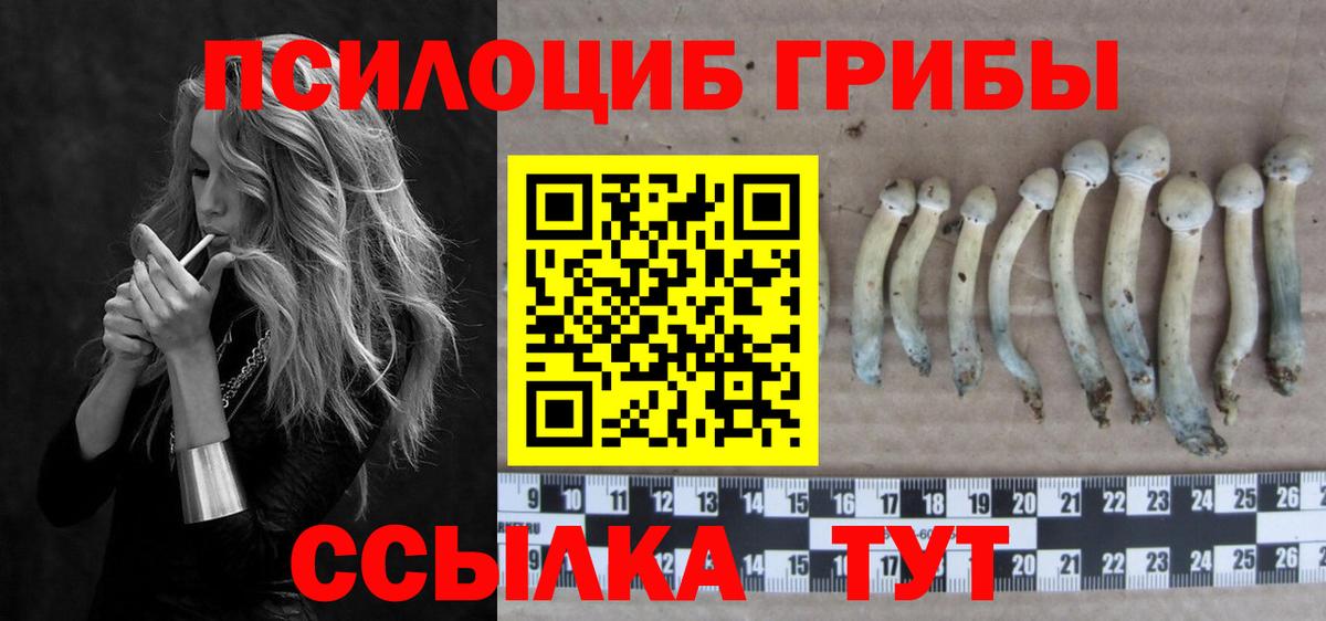 Дюртюли  закладка  Псилоцибиновые грибы Cubensis  Вход с VPN  Галлюциногенные грибы мухоморы 